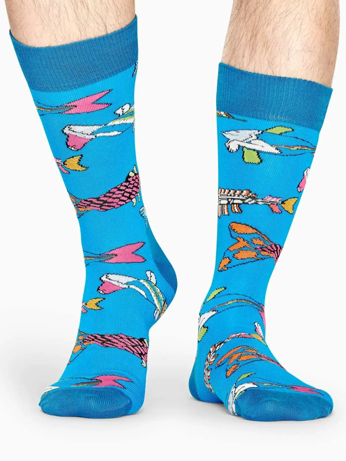 Peces y Ballenas